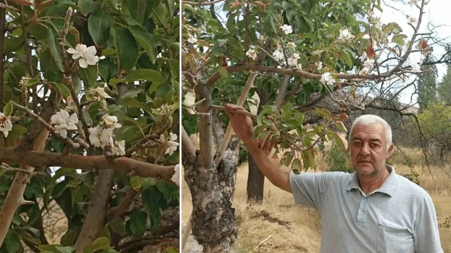 Köylüler inanamadı: Hayatımda ilk kez karşılaştım