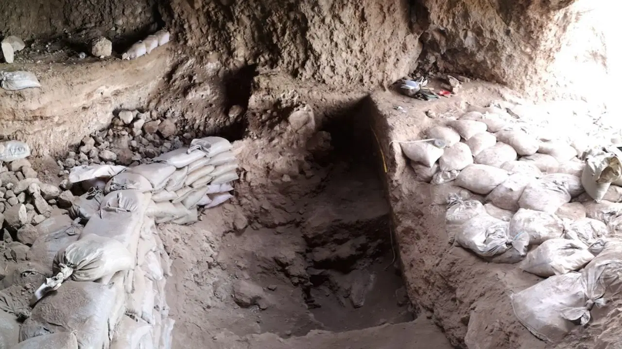 Orta Asya’da tarımın en eski kanıtlarından biri bulundu