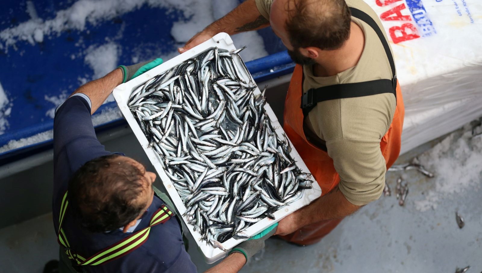 Sinop’ta balıkçı tezgahları hamsiyle doldu