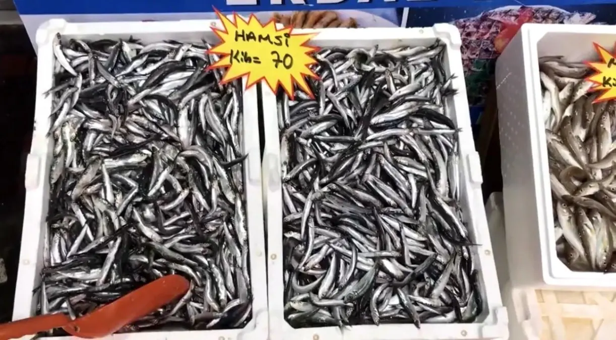 Akçakoca Balıkçı Barınağı Başkanı’ndan Taze Balık Uyarısı