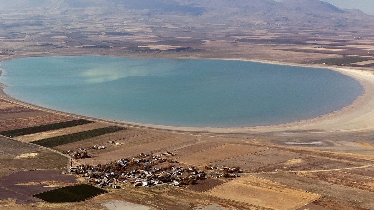 Bitlis’in kuş cenneti Arin Gölü, gün geçtikçe alan kaybediyor