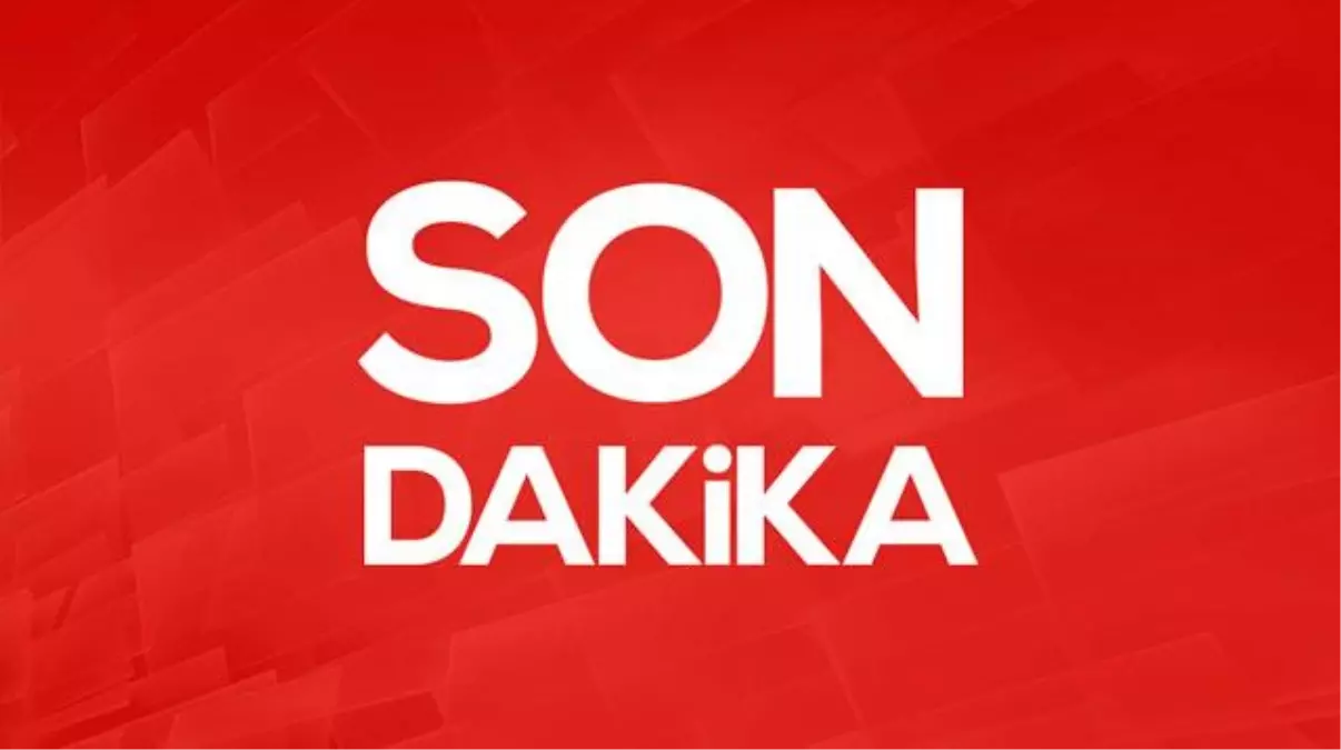 Böcek ailesinin ölümüne ilişkin soruşturmada kokoreççi, lokumcu, midyeci ve kafe işletmecisi tahliye edildi.