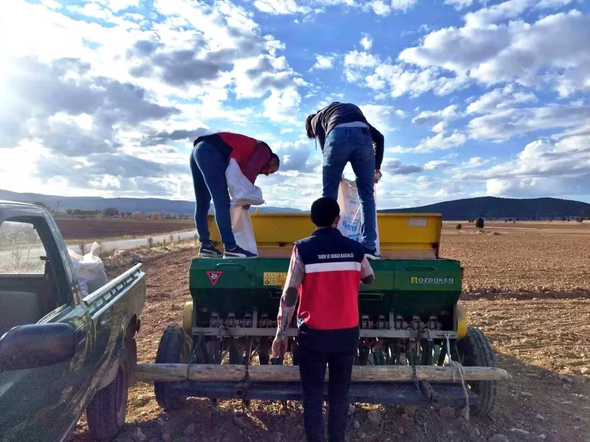 Çavdarhisar’da Tohum Dağıtımı ve Ekim Çalışmaları Başladı