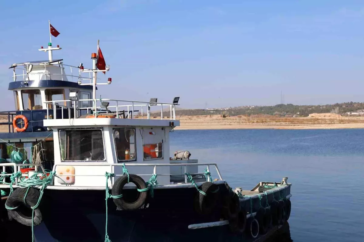 Hirfanlı Barajı’ndan Dünyaya Somon İhracatı