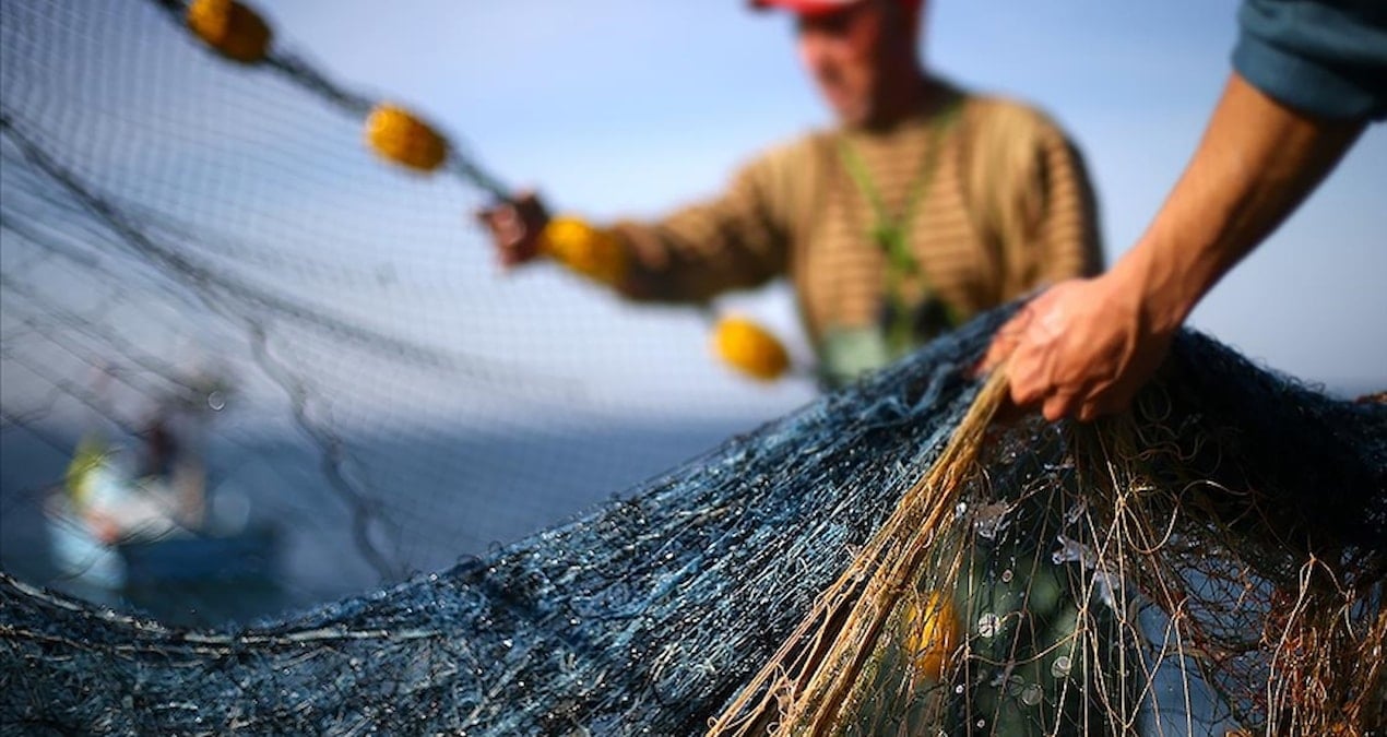Marmara Denizi’ndeki bolluk balıkçıları Tekirdağ açıklarına çekti