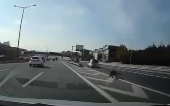 Son anda sapağa girmek isterken kazaya neden oldu