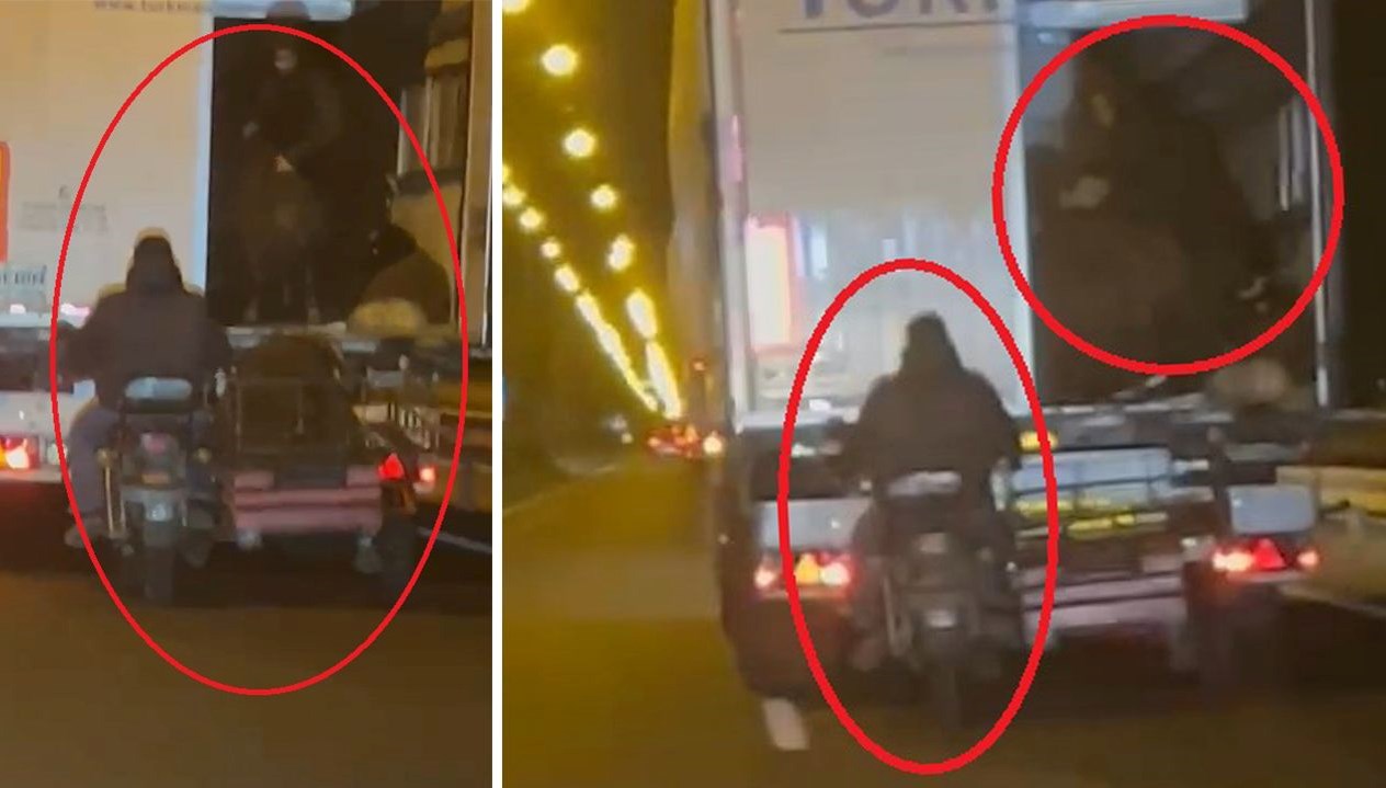 Yoldaki TIR’dan koyun çaldılar, kaza yapınca hayvanları bırakıp kaçtılar