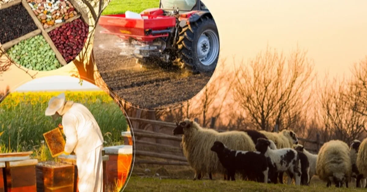 2 milyar TL’lik tarımsal destek hesaplarda