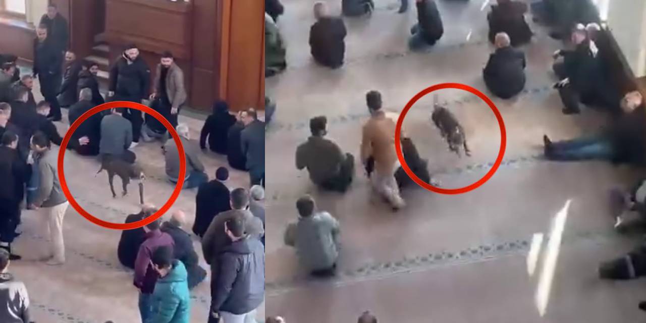 Cuma vaazı sırasında camiye pitbull girdi! O anlar kamerada