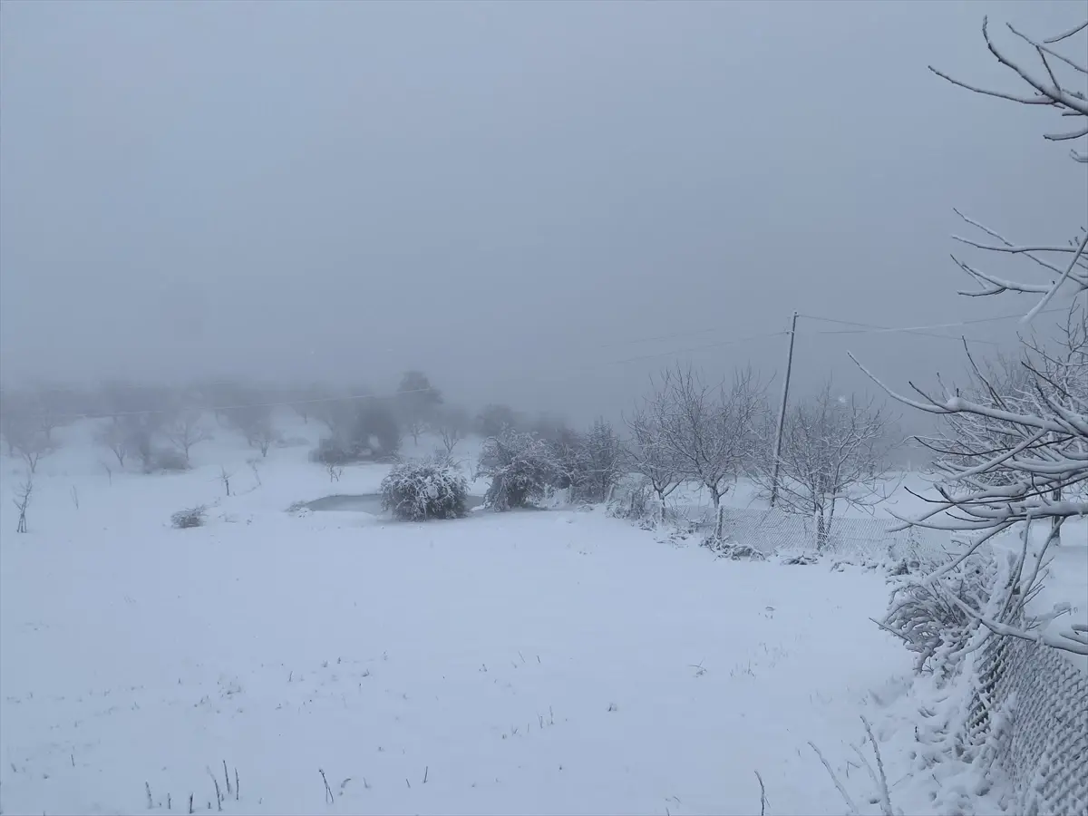 Oğuzlar’da Ceviz Bahçeleri Karla Kaplandı