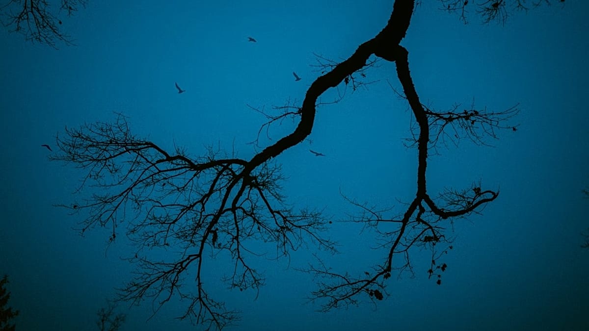 ‘Yılın en depresif günü’ yarın: Mavi Pazartesi gerçek mi? | Euronews