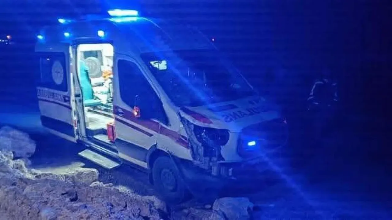Siirt’te Hasta Taşıyan Ambulans Başıboş Ata Çarptı: At Telef Oldu