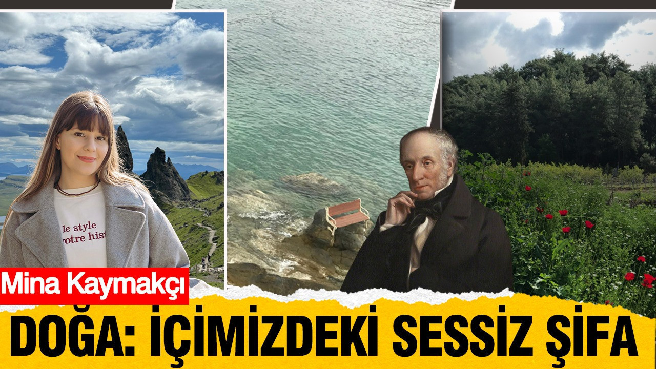 Doğanın Şifalı Sesi: İçsel Huzurun Kaynağı