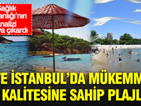 Saglik bakanliginin analizi ortaya cikardi iste istanbulda mukemmel su kalitesine sahip plajlar yTsvfKIX