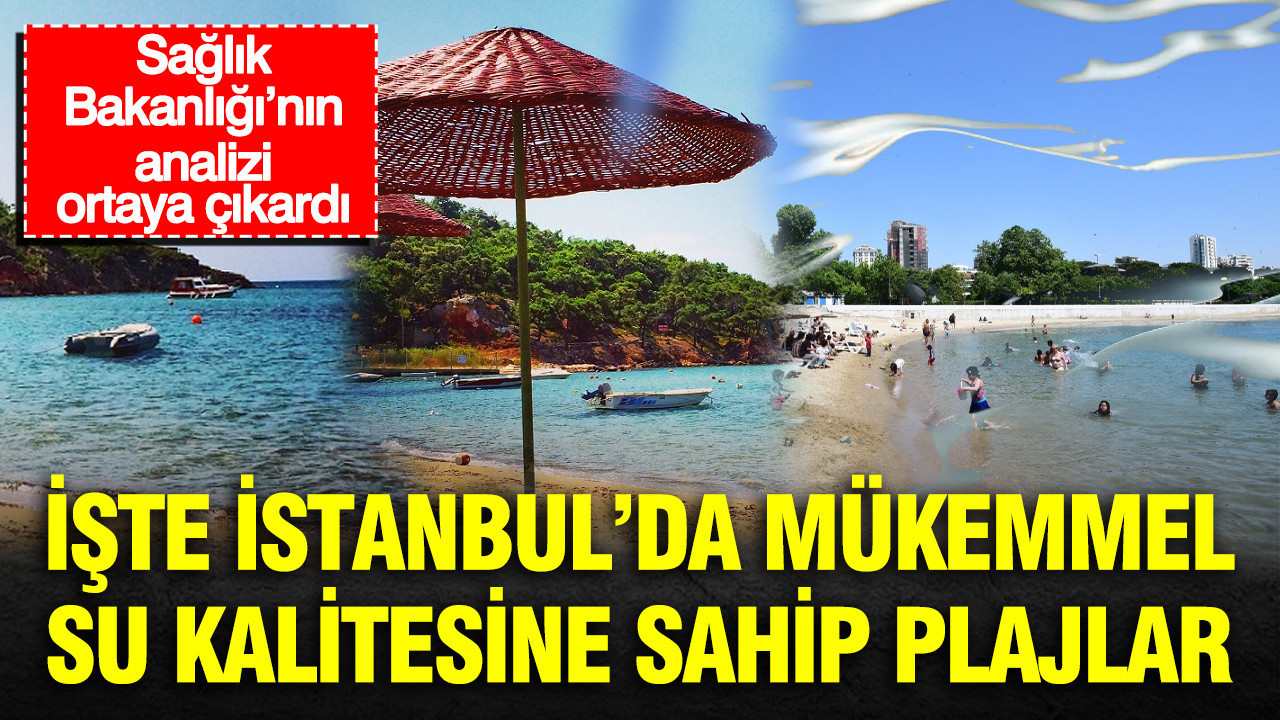 Saglik bakanliginin analizi ortaya cikardi iste istanbulda mukemmel su kalitesine sahip plajlar yTsvfKIX